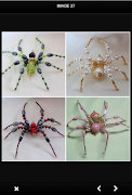 DIY Bead Spider Tutoriales captura de pantalla 4