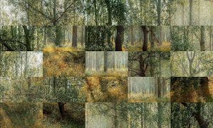Tile Puzzles · Forests Ekran Görüntüsü 3