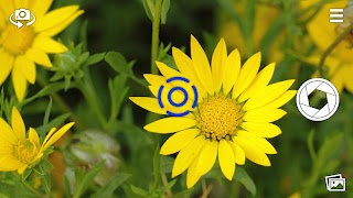 Base Camera Source Code スクリーンショット 2