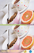 برنامه‌نما Find Differences Level 15 عکس از صفحه