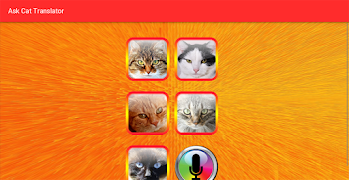 Ask Cat Translator ảnh chụp màn hình 5