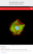 Cell Imaging HD ภาพหน้าจอ 1