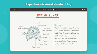 Test app الملصق