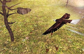 برنامه‌نما Eagle Hunt Simulator عکس از صفحه