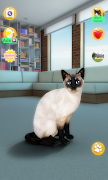 Talking Siamese Cat screenshot 3