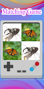 Insect Matching Game poster