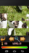 Puzzle Dogs ภาพหน้าจอ 1
