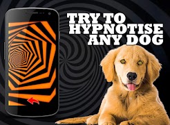 Dog Hypnosis Simulator screenshot 6