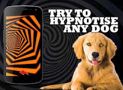 Dog Hypnosis Simulator تصوير الشاشة 6