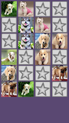 برنامه‌نما Dog Match Game عکس از صفحه