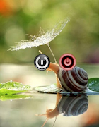 Screen Off imagem de tela 5