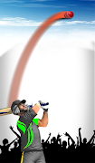 Cricket screenshot 2