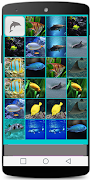 برنامه‌نما Fish Game عکس از صفحه