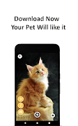 Camera for Pets capture d'écran 3