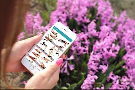 Tummy Slimming Tutoriales captura de pantalla 4