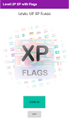 Level UP XP Flags Cartaz