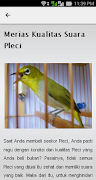 Tips Pleci Gacor screenshot 4
