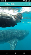 Holbox Guide ภาพหน้าจอ 3