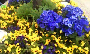 만화 카메라 스크린샷 3