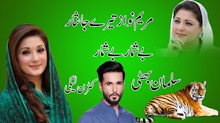 PMLN Flex and banner Pakistan Muslim league 2019 screenshot 1