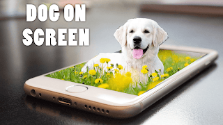 Animal On Screen screenshot 4