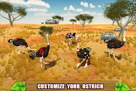Furious Ostrich Simulator screenshot 6