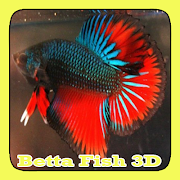 Betta Fish 3D screenshot 5