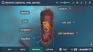 Bacteria interactive educational VR 3D syot layar 3