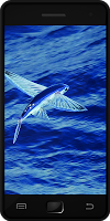 Flying Fish โปสเตอร์
