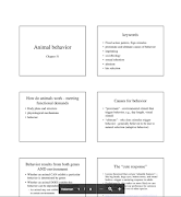 1 Schermata Animal Behavior