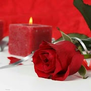 2019 أحلى باقة ورود الطبيعة Screenshot 5