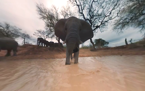 Discovery VR تصوير الشاشة 5