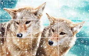 Puzzle - Wild animals screenshot 6