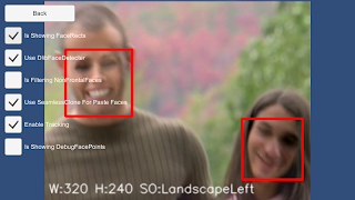 FaceSwapper Example تصوير الشاشة 1
