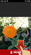 Image Commander Screenshot 5