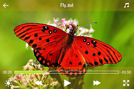 HD MX Player স্ক্রিনশট 3