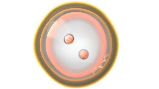 1 Schermata Zygote 3D