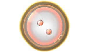 Zygote 3D Screenshot 1