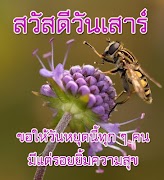 สวัสดีตอนเช้า สวัสดีวันเสาร์ Cartaz