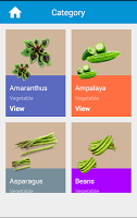 Fruits Vegetables Color Shapes تصوير الشاشة 2
