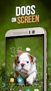 Dog on Screen Simulated Affiche