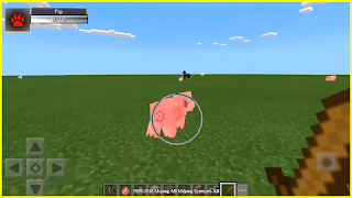 Damage Indicator mod for MCPE 截圖 2