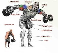 Shoulder Workouts 스크린샷 3