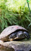 Super Tortue App capture d'écran 4