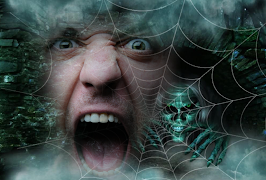 Efeitos E Molduras Para Fotos Da Teia De Aranha imagem de tela 6