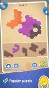 Paper Blocks Hexa screenshot 4