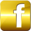 FB GOLD APK
