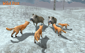 Wild Fox Sim 3D poster