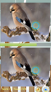 Find Difference Bird Games ภาพหน้าจอ 2