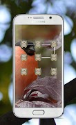 Bird Pattern Lock Screen screenshot 2